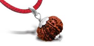 11-Mukhi-Rudraksh
