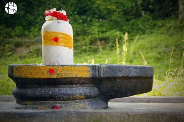 Types Of Shivling And Puja Of Different Shivling