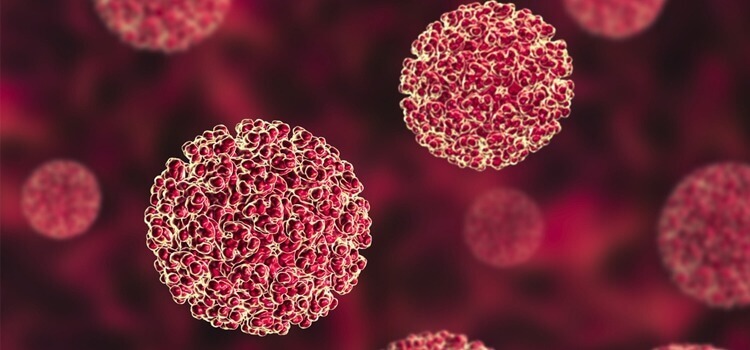 hepatits-B