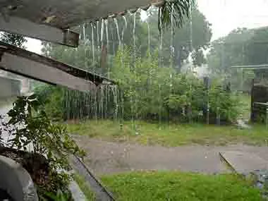 rainfall
