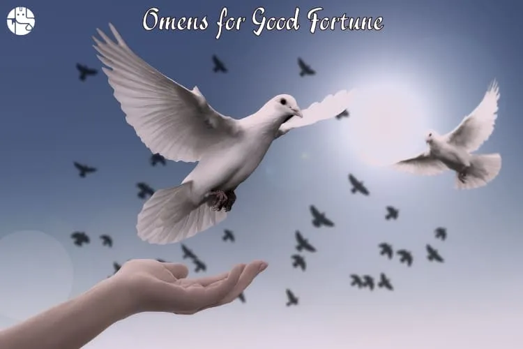 Omens