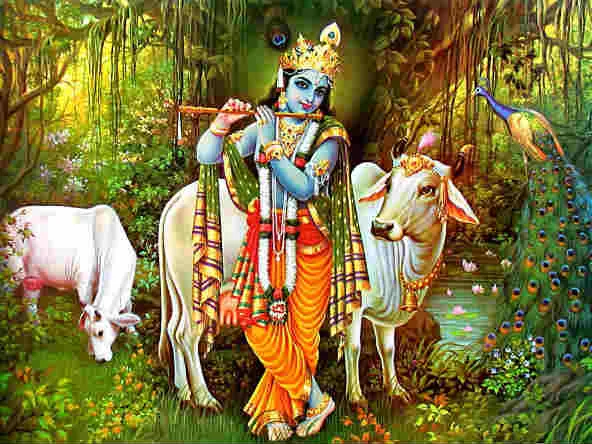 Know About Janmashtami And How Should The People Celebrate It