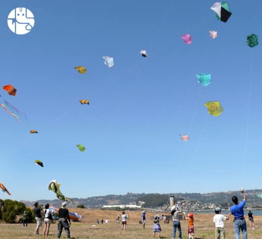 Some Fascinating Facts About How the Zodiac Signs Celebrate Kite-Flying!