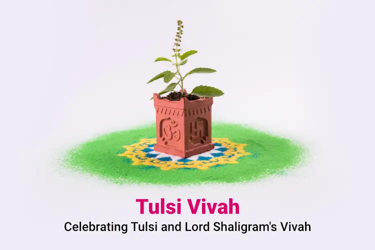 Know About The Importance Of Tulsi Vivah And Its Message