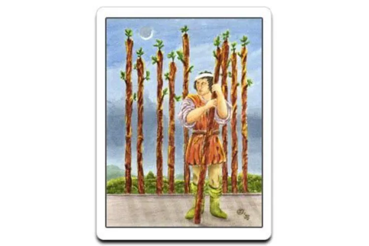 Nine of Pentacles Tarot Card Meaning: Upright & Reversed