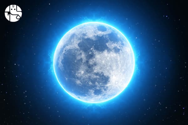purnima-600-min-1