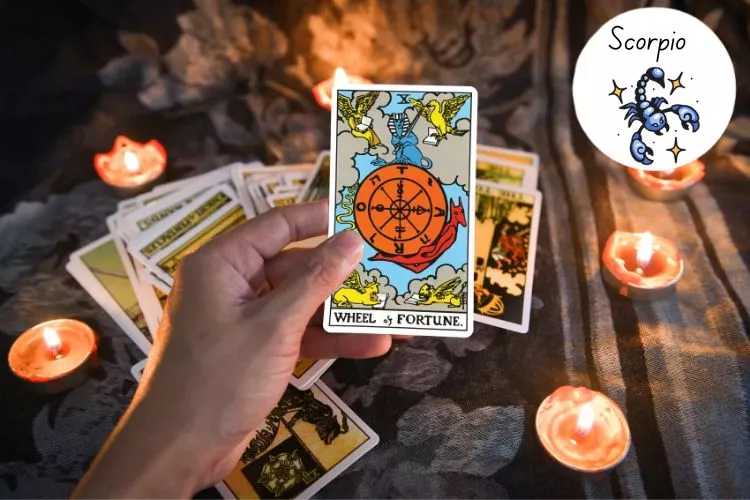 Scorpio Tarot Horoscope 2025