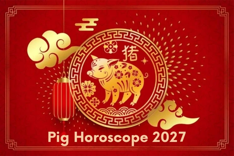 Pig (Zhū) Chinese Horoscope 2027