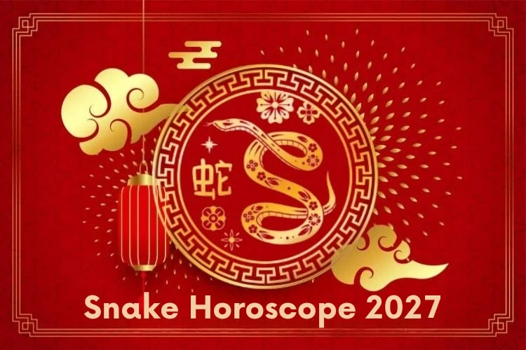 Snake (Shé) Chinese Horoscope 2027